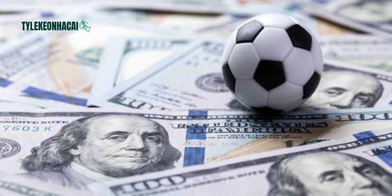 Bộ lọc chính xác giải đấu cực tiện lợi cho người dùng