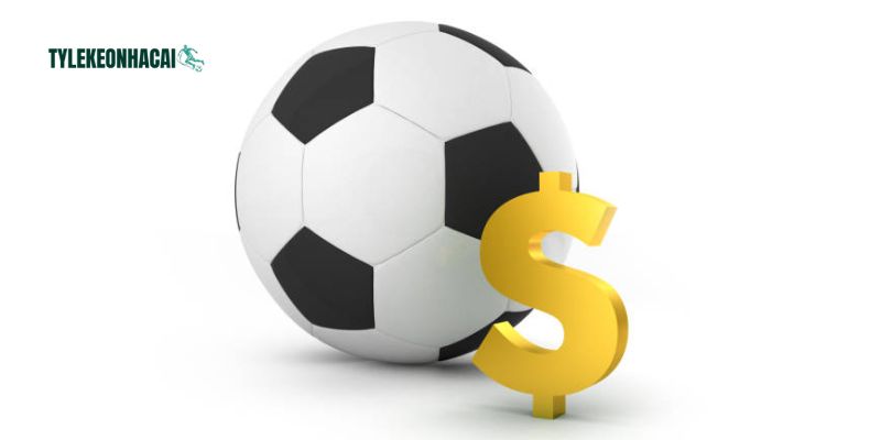 Cập nhật ngay BXH bóng đá trực tuyến mới nhất hiện nay