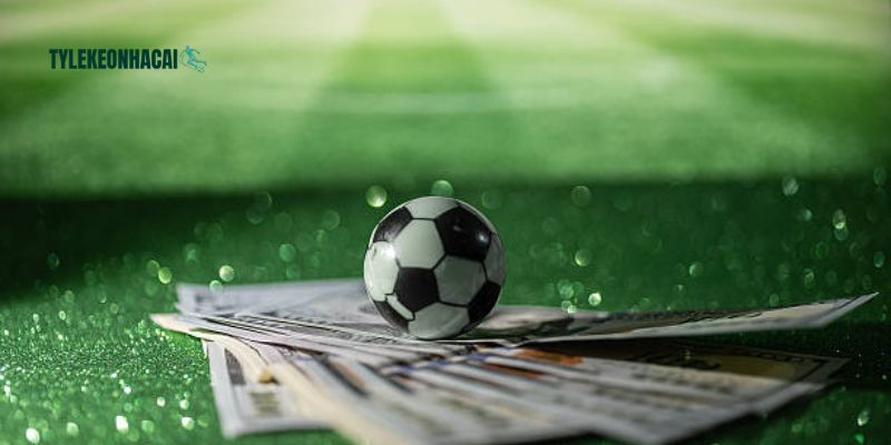 Giao diện cực dễ dùng phù hợp với mọi đối tượng