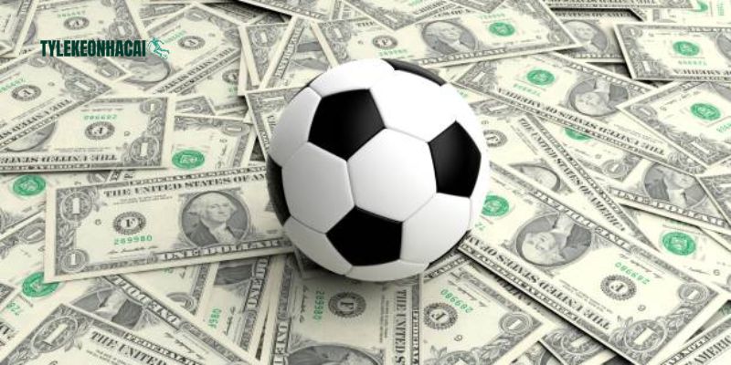 Hướng dẫn cách theo dõi thứ hạng bóng đá online cực đơn giản