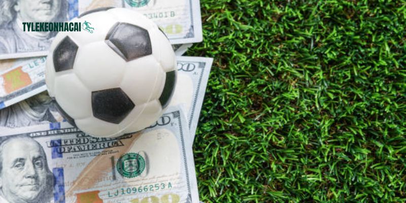 Kèo chấp, kèo châu Âu và Tài xỉu là ba kèo cược cơ bản cho tân thủ 