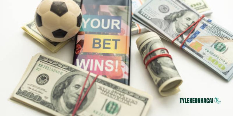 Một số giải đấu bóng đá hàng đầu hiện nay mà bạn cần biết