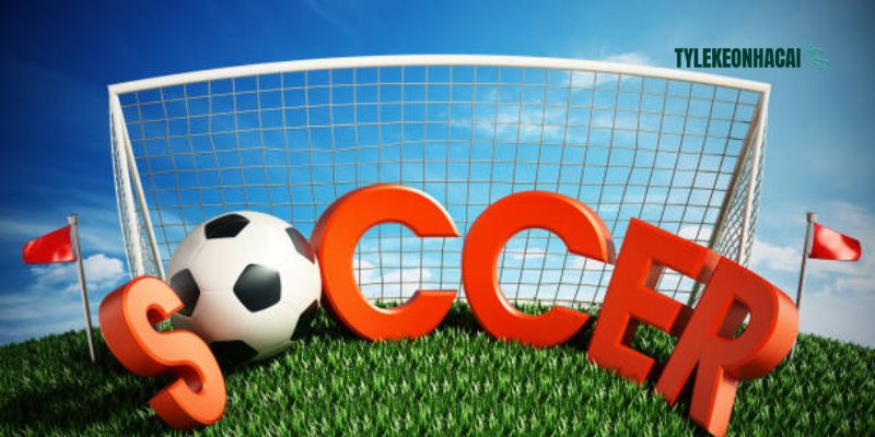 Những mặt hạn chế khi soi cầu trực tuyến liệu bạn đã biết?