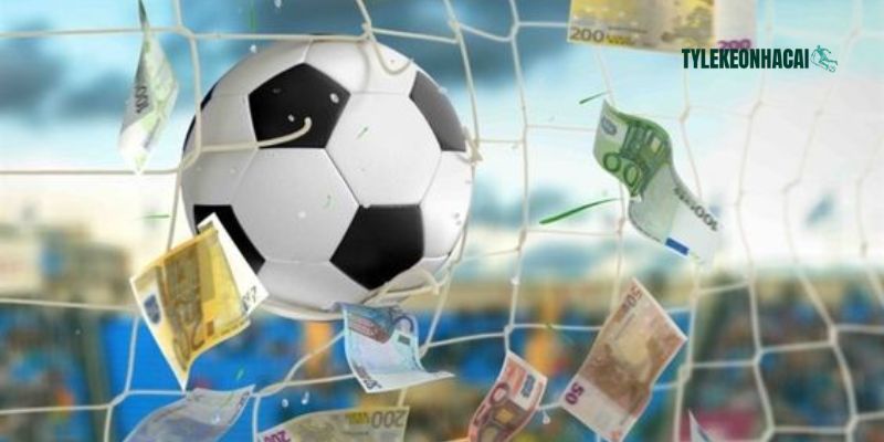 Những thuật ngữ mà bạn cần phải biết khi tham gia cá cược