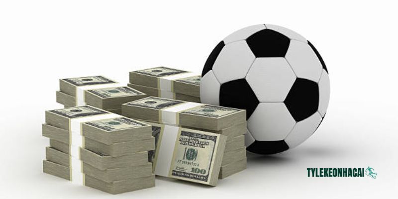 Tổng hợp chi tiết các thông tin bóng đá ngày hôm nay