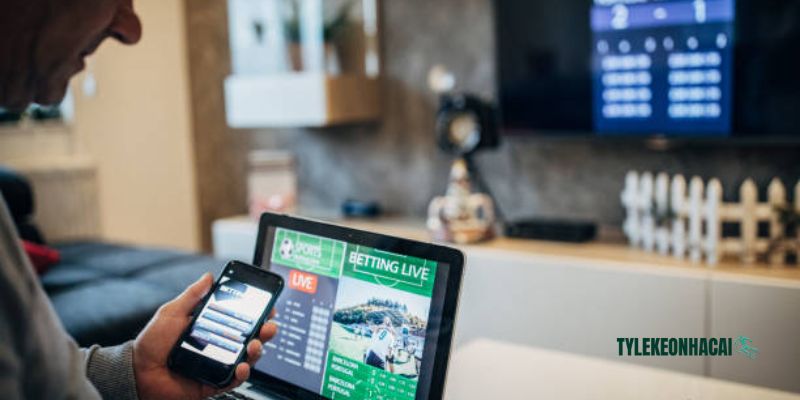 Tổng hợp những tỷ lệ kèo phổ biến cho chiếu mới