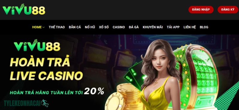 VIVU88 là nền tảng cá cược online được phát triển theo hướng tối giản