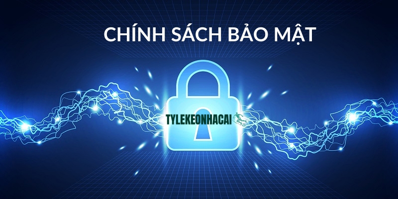 Hệ thống thu nhập những thông tin nào từ người dùng?