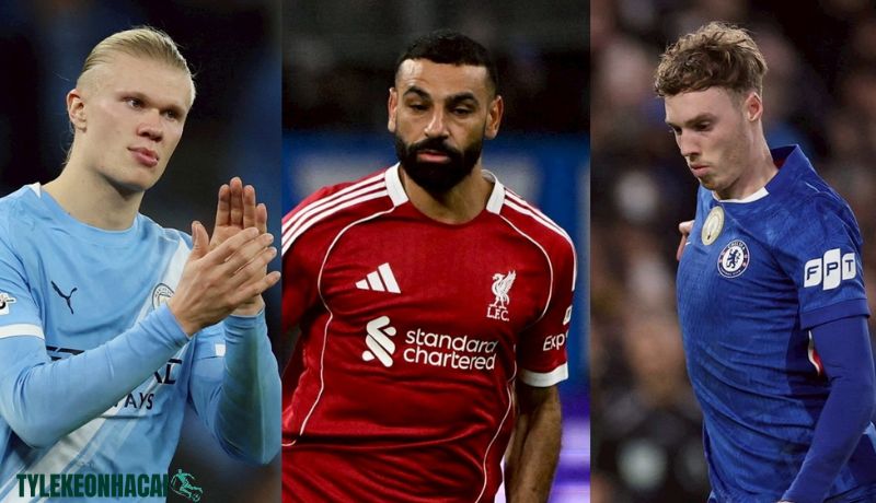 Lịch thi đấu theo từng giải đấu