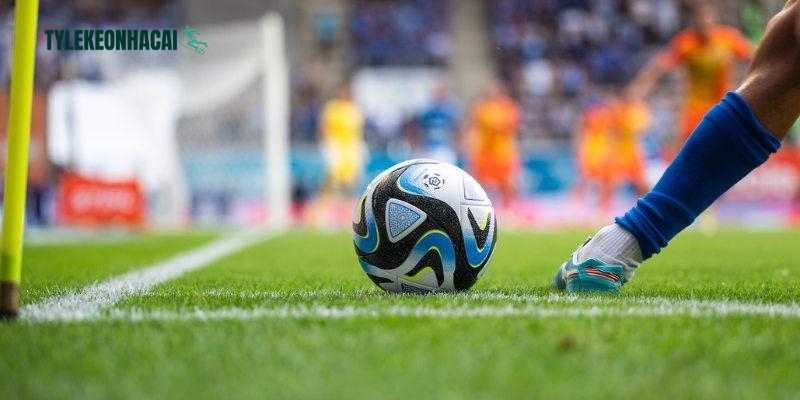 Quy định về chế tài vi phạm Tuyên bố bản quyền