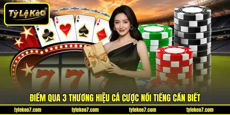 Điểm qua 3 thương hiệu cá cược nổi tiếng cần biết