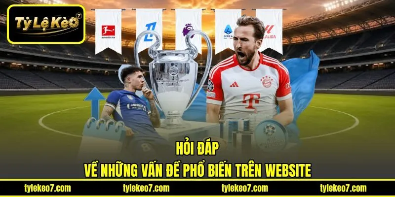 Hỏi đáp về những vấn đề phổ biến trên website
