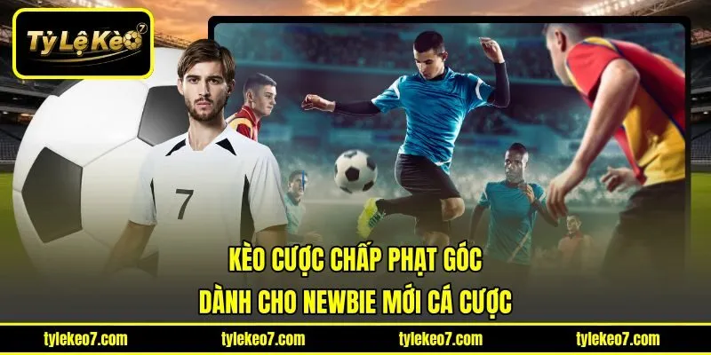 Kèo Cược Chấp Phạt Góc Dành Cho Newbie Mới Cá Cược