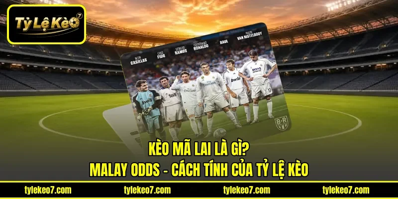 Kèo Mã Lai Là Gì? | Malay Odds - Cách Tính Của Tỷ Lệ Kèo