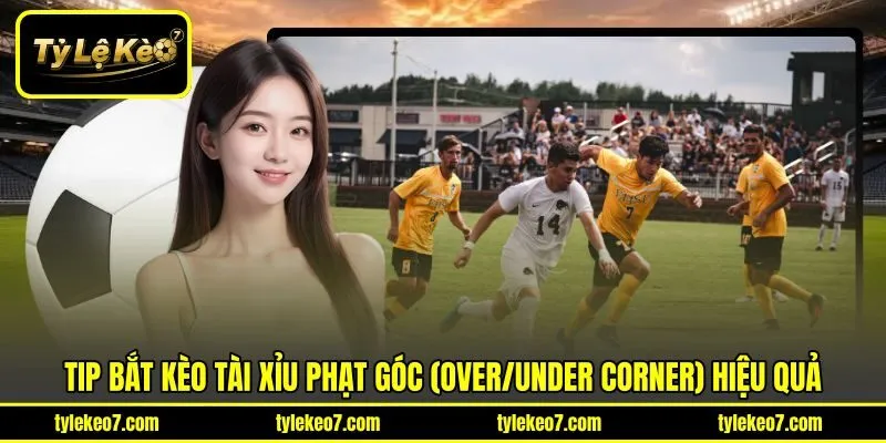 Tip bắt kèo tài xỉu phạt góc (Over/Under Corner) hiệu quả